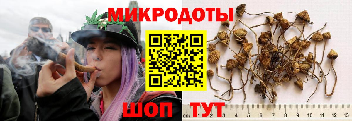 Галлюциногенные грибы Magic Shrooms  Вход с VPN  Кизилюрт 